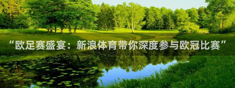 ag街机试玩：“欧足赛盛宴：新浪体育带你深度参与欧冠比赛”