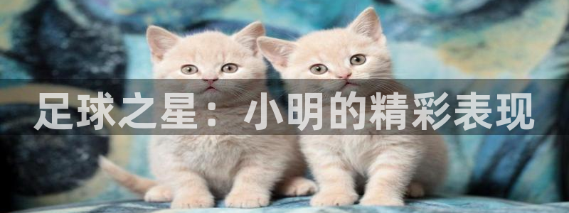 ag街机熊猫一飞冲天技巧：足球之星：小明的精彩表现