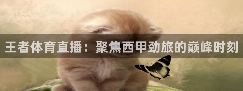 ag街机游戏：王者体育直播：聚焦西甲劲旅的巅峰时刻