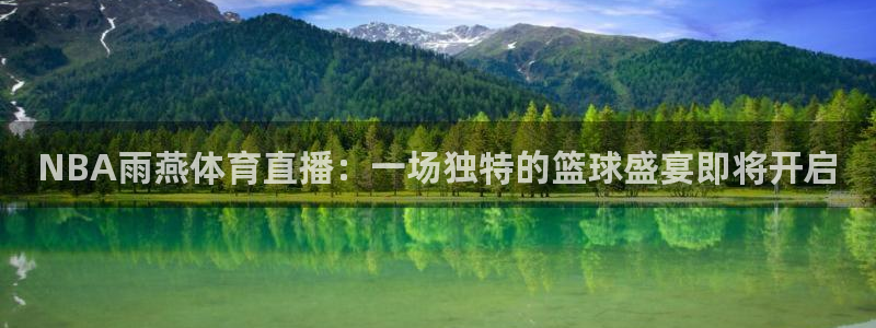 ag街机代理：NBA雨燕体育直播：一场独特的篮球盛宴即将开启