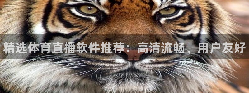 ag棋牌平台游戏：精选体育直播软件推荐：高清流畅、用户友好