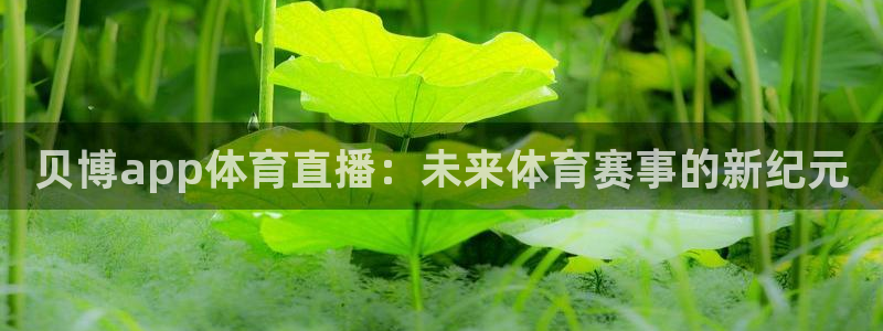 ag街机注册：贝博app体育直播：未来体育赛事的新纪元