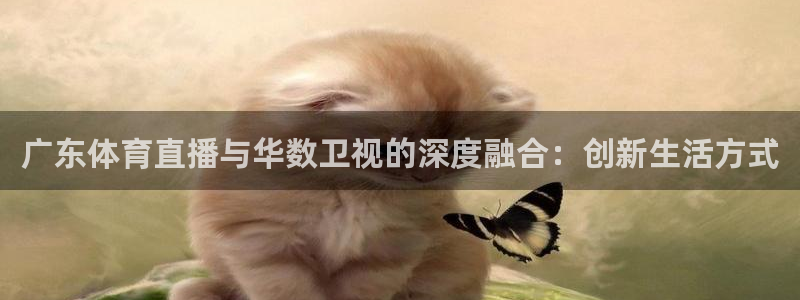 ag街机平台：广东体育直播与华数卫视的深度融合：创新生活方式