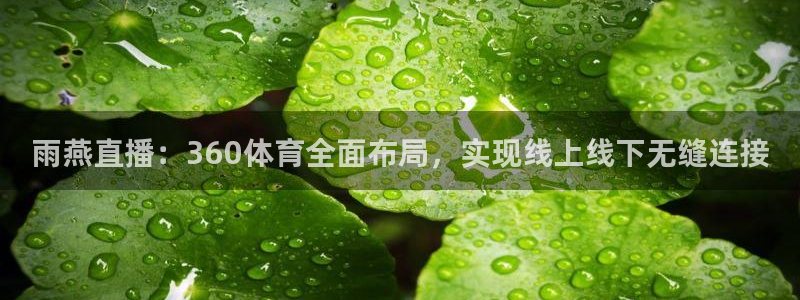 游戏ag：雨燕直播：360体育全面布局，实现线上线下无缝连接
