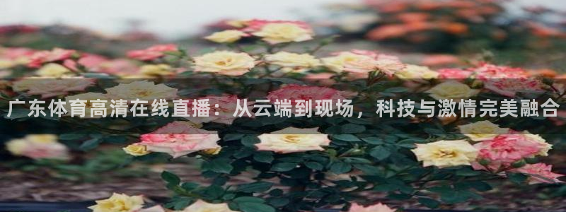 ag平台游戏大厅：广东体育高清在线直播：从云端到现场，科技与激情完美融合